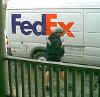 Your model will be delivered to you via FedEx Ground in the continental United States.